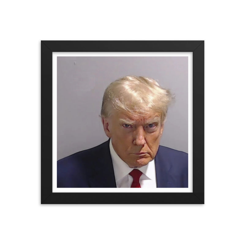 Trump Mugshot Framed Print
