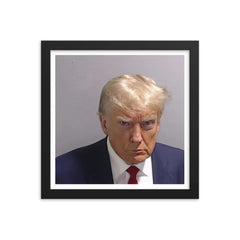 Trump Mugshot Framed Print