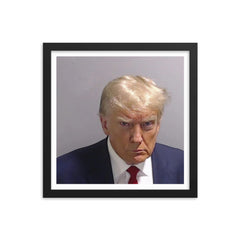 Trump Mugshot Framed Print