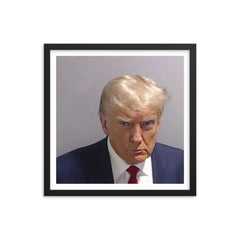 Trump Mugshot Framed Print