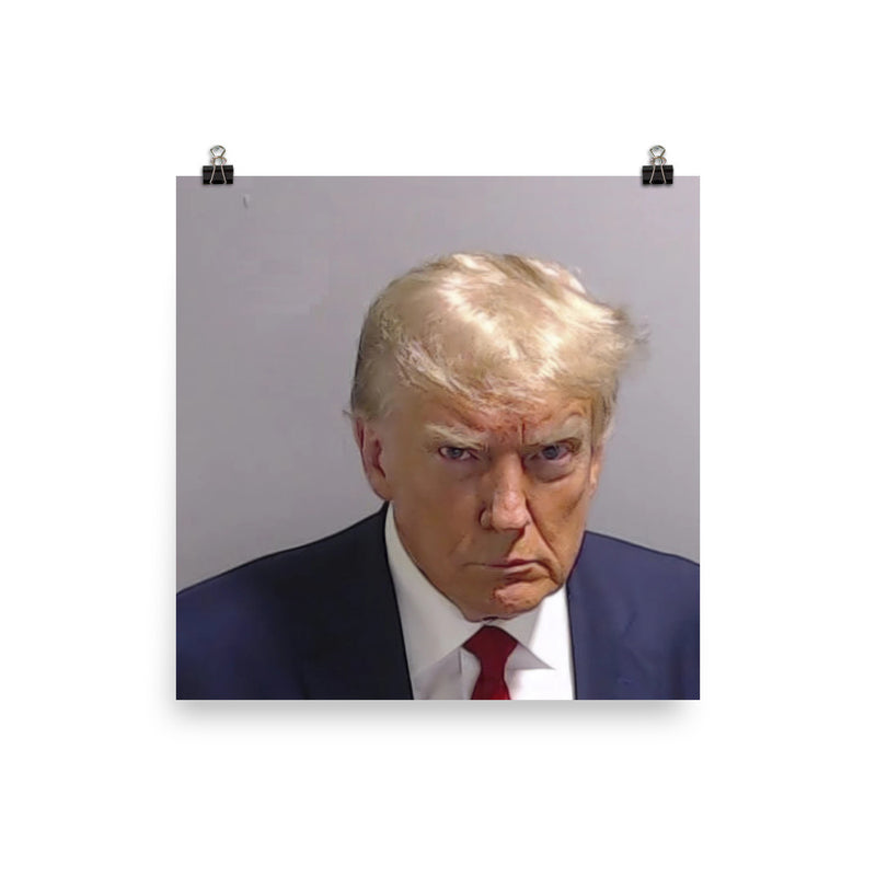 Trump Mugshot  Poster Print