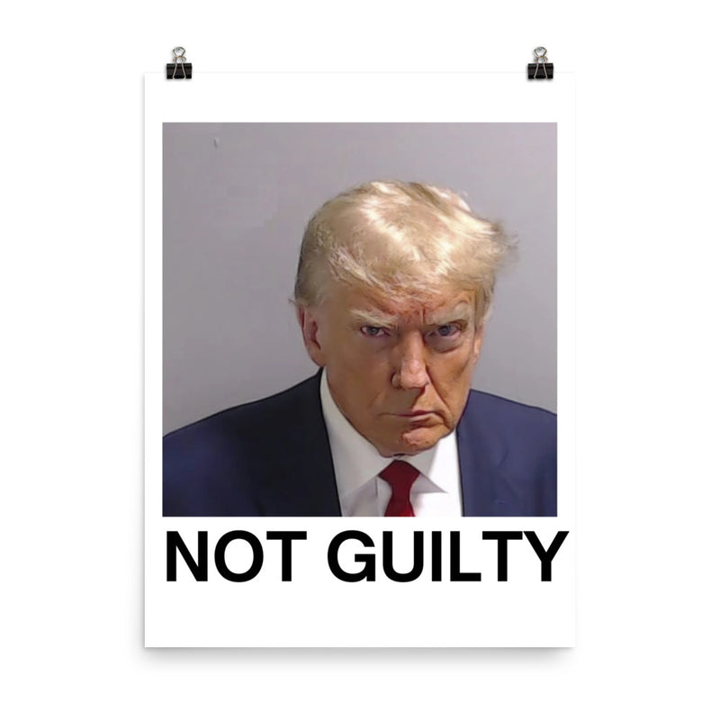 Trump Mugshot Not Guilty Poster Print