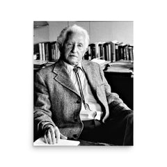 Erik Erikson poster on a plain backdrop in size 16"x20".