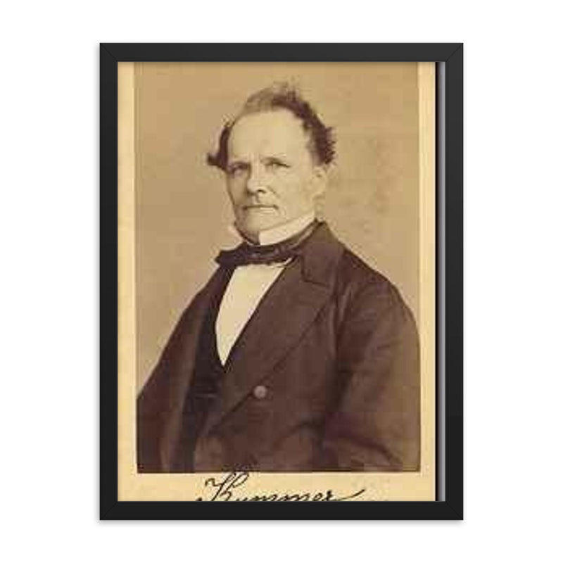 Ernst Kummer framed print on a plain backdrop in size 18