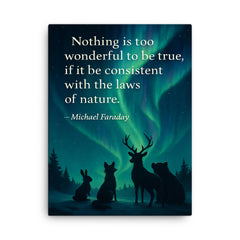 Faraday quote nothing too wonderful amazed animals watching aurora borealis canvas print on a plain backdrop in size 18"x24".