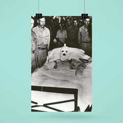 Fastest Medal of Honor Awarded poster 6