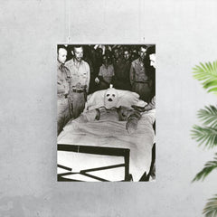 Fastest Medal of Honor Awarded poster 7