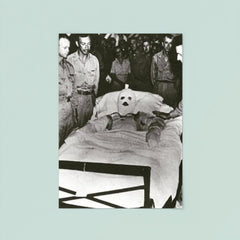 Fastest Medal of Honor Awarded poster 8