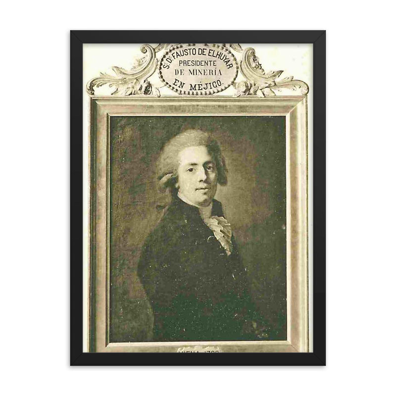 Fausto Elhuyar framed print on a plain backdrop in size 18