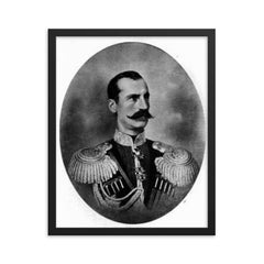 Felix Sumarokov framed print on a plain backdrop in size 16"x20".