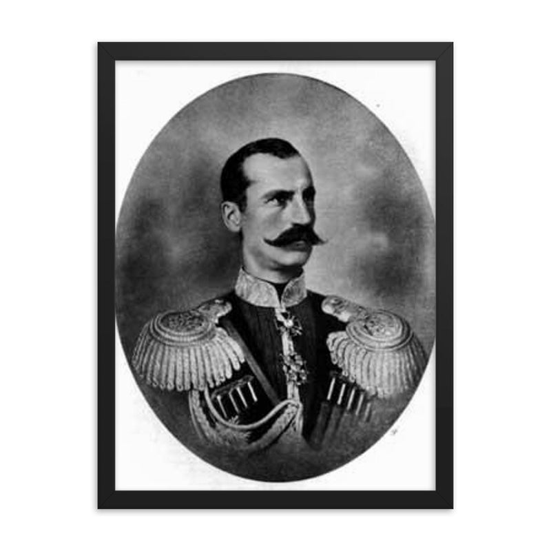 Felix Sumarokov framed print on a plain backdrop in size 18