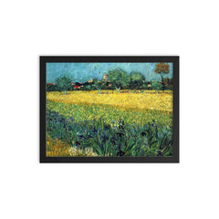 Field with Irises Near Arles by Vincent van Gogh, 1888 framed print on a plain backdrop in size 12"x16".