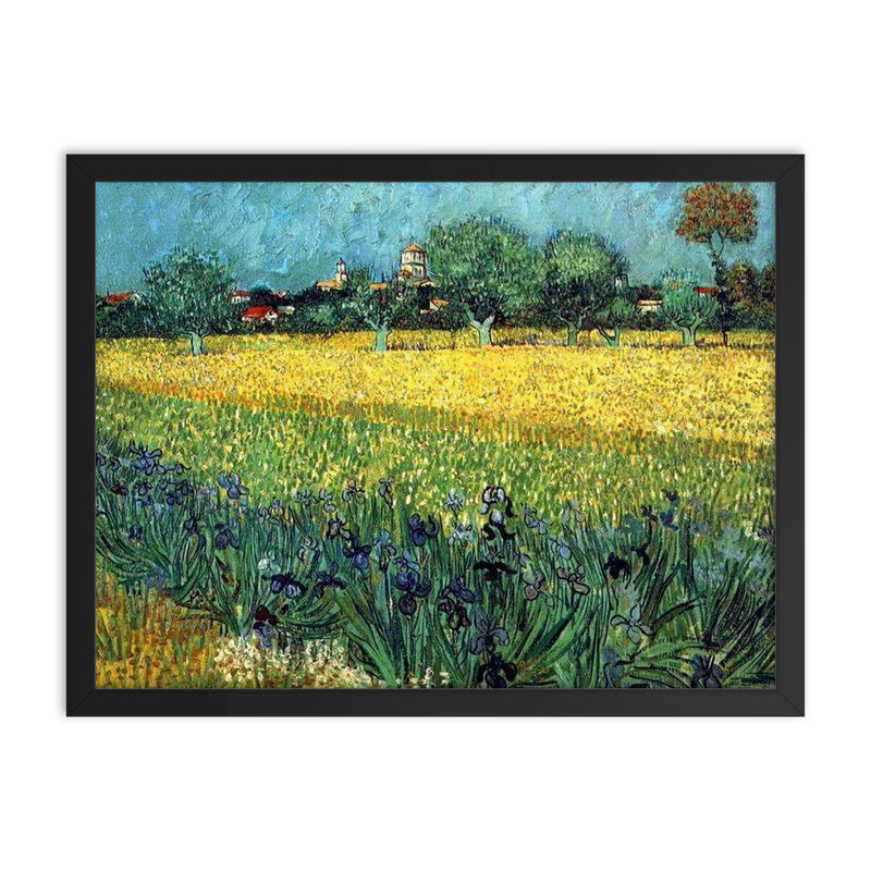 Field with Irises Near Arles by Vincent van Gogh, 1888 framed print on a plain backdrop in size 18