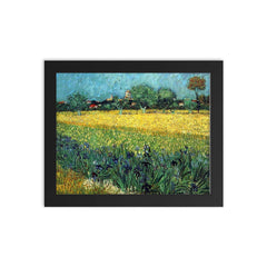 Field with Irises Near Arles by Vincent van Gogh, 1888 framed print on a plain backdrop in size 8"x10".