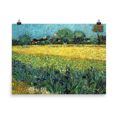 Field with Irises Near Arles by Vincent van Gogh, 1888 poster on a plain backdrop in size 8"x10".