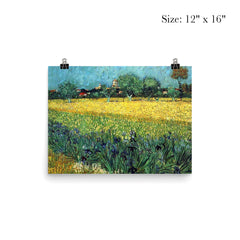 Field with Irises Near Arles by Vincent van Gogh, 1888 poster 3