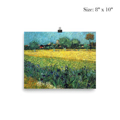 Field with Irises Near Arles by Vincent van Gogh, 1888 poster 4