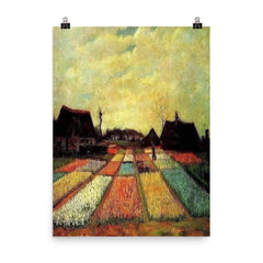 Fields of Tulips by Vincent van Gogh, 1883 poster on a plain backdrop in size 8"x10".