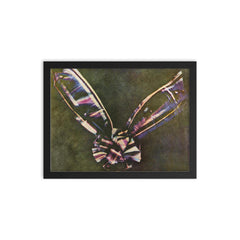 First Color Photo, 1861 framed print on a plain backdrop in size 12"x16".