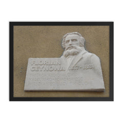 Florian Ceynowa framed print on a plain backdrop in size 18"x24".