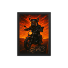 French Bulldog biker roaring down Route 66 at sunset framed print on a plain backdrop in size 12"x16".