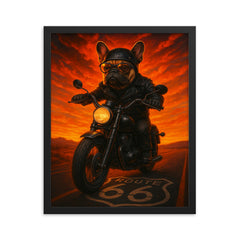 French Bulldog biker roaring down Route 66 at sunset framed print on a plain backdrop in size 16"x20".