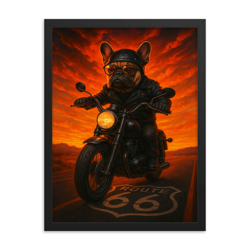 French Bulldog biker roaring down Route 66 at sunset framed print on a plain backdrop in size 18