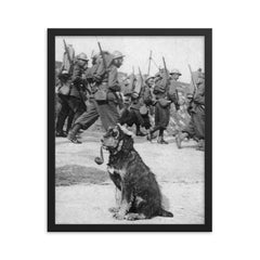French Soldiers Passing By Dog in Goggles Smoking a Pipe, 1915 framed print on a plain backdrop in size 16"x20".