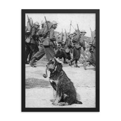 French Soldiers Passing By Dog in Goggles Smoking a Pipe, 1915 framed print on a plain backdrop in size 18"x24".