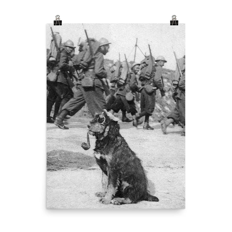 French Soldiers Passing By Dog in Goggles Smoking a Pipe, 1915 poster on a plain backdrop in size 8