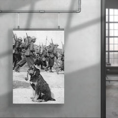 French Soldiers Passing By Dog in Goggles Smoking a Pipe, 1915 poster 4