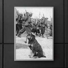French Soldiers Passing By Dog in Goggles Smoking a Pipe, 1915 poster 5