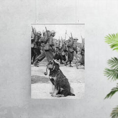 French Soldiers Passing By Dog in Goggles Smoking a Pipe, 1915 poster 7