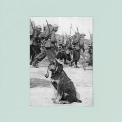 French Soldiers Passing By Dog in Goggles Smoking a Pipe, 1915 poster 8