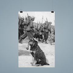 French Soldiers Passing By Dog in Goggles Smoking a Pipe, 1915 poster 9