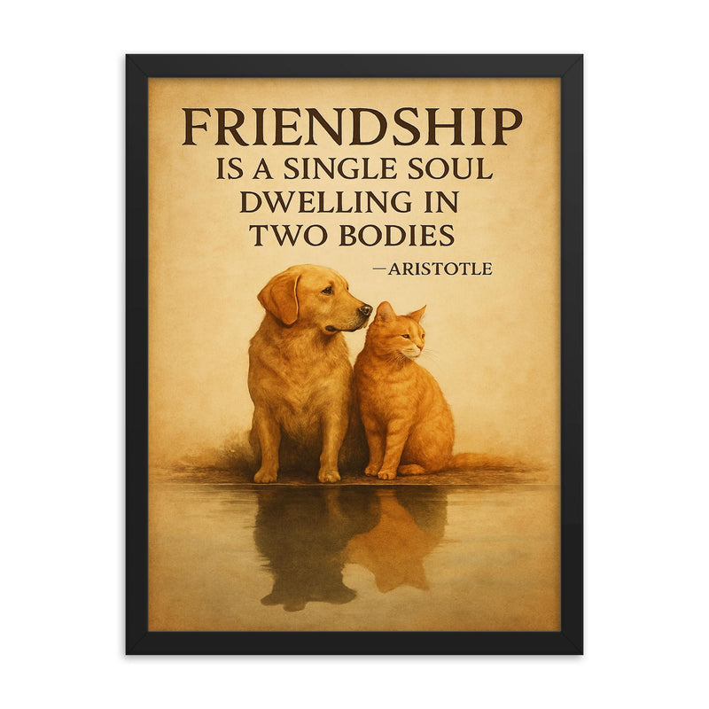 Friendship is a single soul dwelling in two bodies Aristotle Two animals sharing shadow.jpg framed print on a plain backdrop in size 18