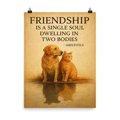 Friendship is a single soul dwelling in two bodies Aristotle Two animals sharing shadow.jpg poster on a plain backdrop in size 8"x10".