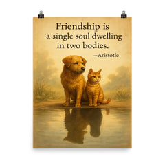 Friendship single soul two bodies Aristotle two animals sharing reflection inspiring quote poster on a plain backdrop in size 8"x10".