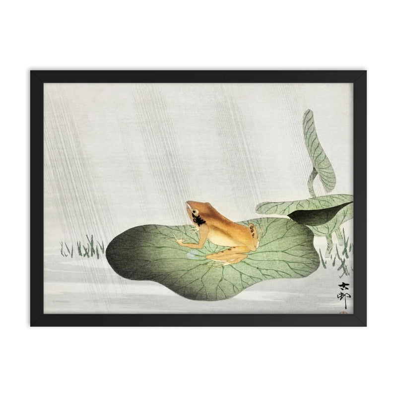 Frog on a lotus leaf Japanese painting framed print on a plain backdrop in size 18