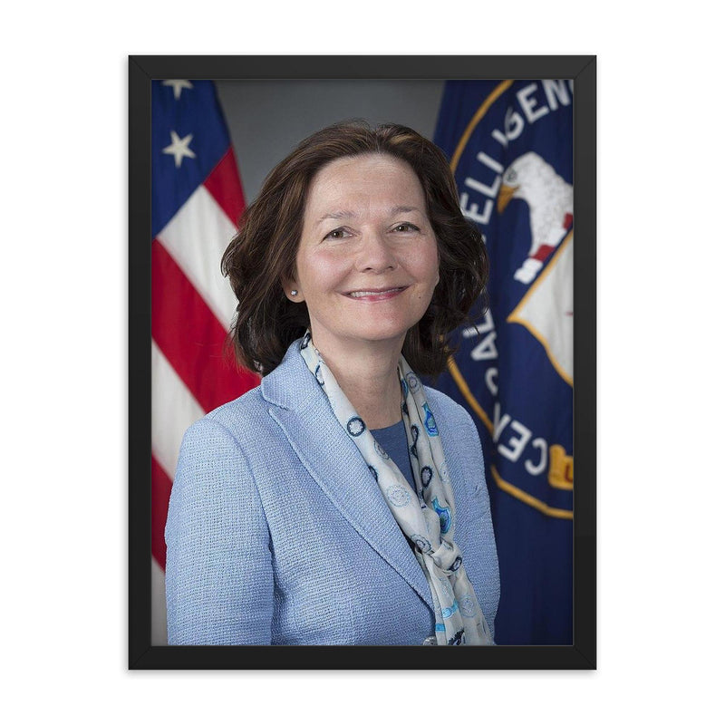Gina Haspel framed print on a plain backdrop in size 18