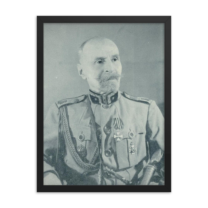 Giorgi Kvinitadze framed print on a plain backdrop in size 18