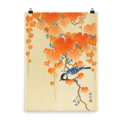 Great Tit by Ohara Koson poster on a plain backdrop in size 8"x10".