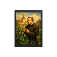 Gregor Mendel in monastery garden with peas framed print on a plain backdrop in size 12"x16".
