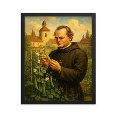 Gregor Mendel in monastery garden with peas framed print on a plain backdrop in size 16"x20".