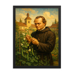 Gregor Mendel in monastery garden with peas framed print on a plain backdrop in size 18"x24".
