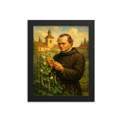Gregor Mendel in monastery garden with peas framed print on a plain backdrop in size 8"x10".