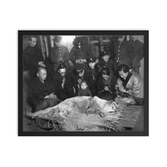 Hachiko Waiting at Shibuya Station, 1935 framed print on a plain backdrop in size 16"x20".