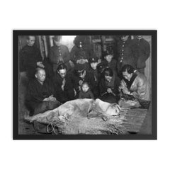 Hachiko Waiting at Shibuya Station, 1935 framed print on a plain backdrop in size 18"x24".