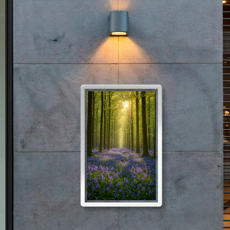 Hallerbos Bluebell Forest Belgium poster 2