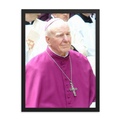 Hans-Reinhard Koch framed print on a plain backdrop in size 18"x24".